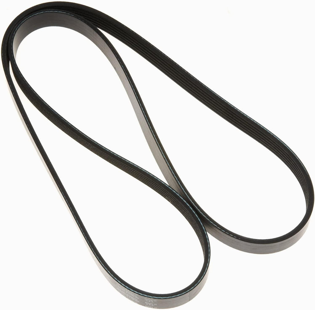 Gold 6K612 Standard V-Ribbed Serpentine Belt