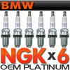6-BMW Spark Plugs NGK Double Laser Platinum Set for BMW E39-E46-M54
