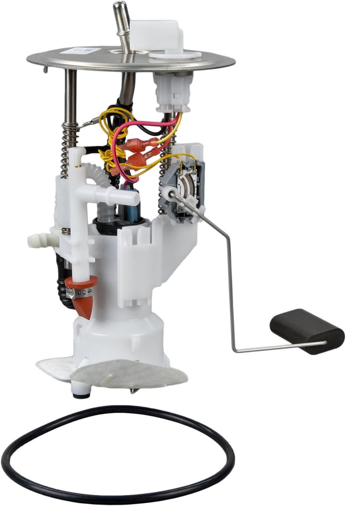 66069 Fuel Pump Module