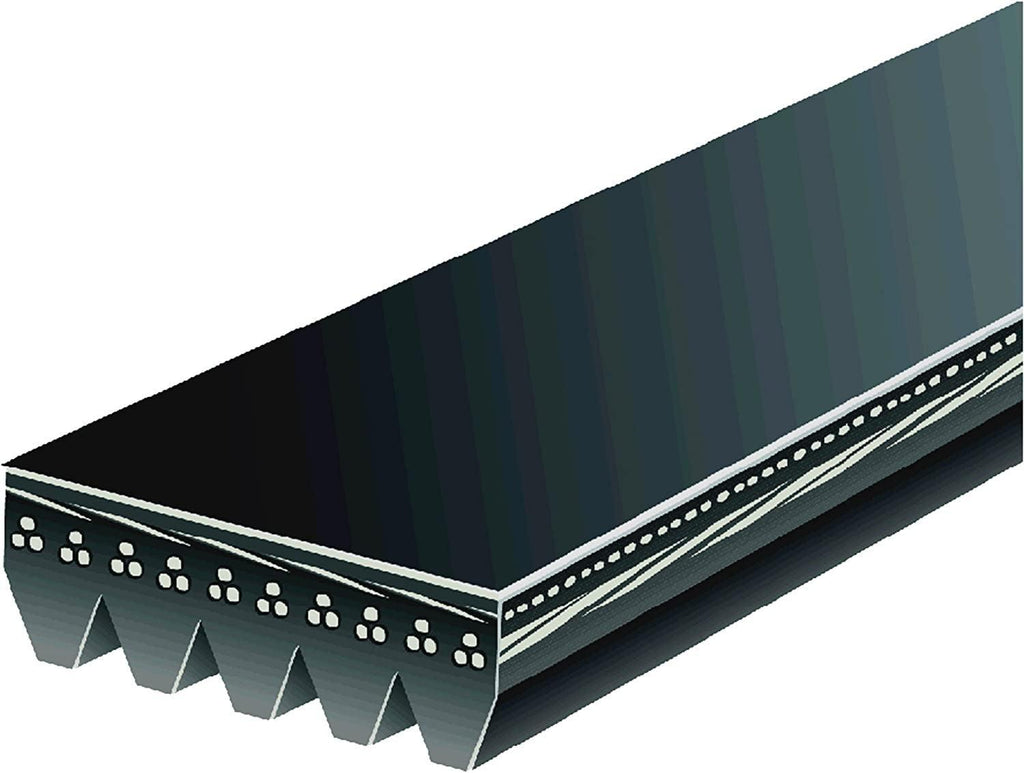 Gold 5K370 Standard V-Ribbed Serpentine Belt