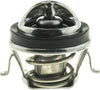 -45829 Superstat Premium Thermostat, Stainless Steel