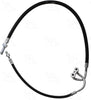 55489 Hose Assembly