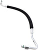 55981 Hose Assembly