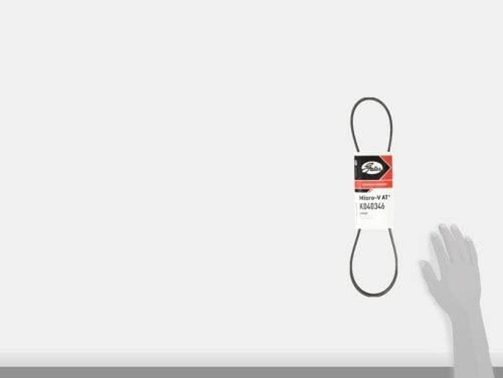 K040346 Belt