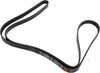 GM Original Equipment 12569505 Serpentine Belt
