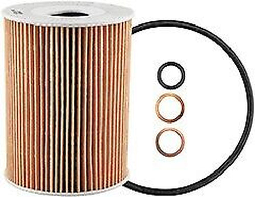 Baldwin Engine Oil Filter for 911, Macan, Cayenne, Panamera, M6, M5 P40105