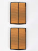 2 Pack  17210-ZJ1-842 Air Filter GX610 GX620 GX670 GXV610 GXV620 GXV670 OEM