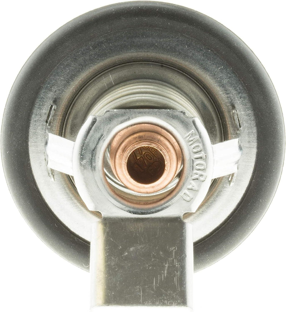 33913 Thermostat