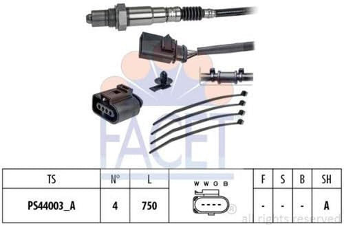 10.8204 Oxygen Sensors