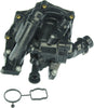 06K121111P Thermostat Assembly