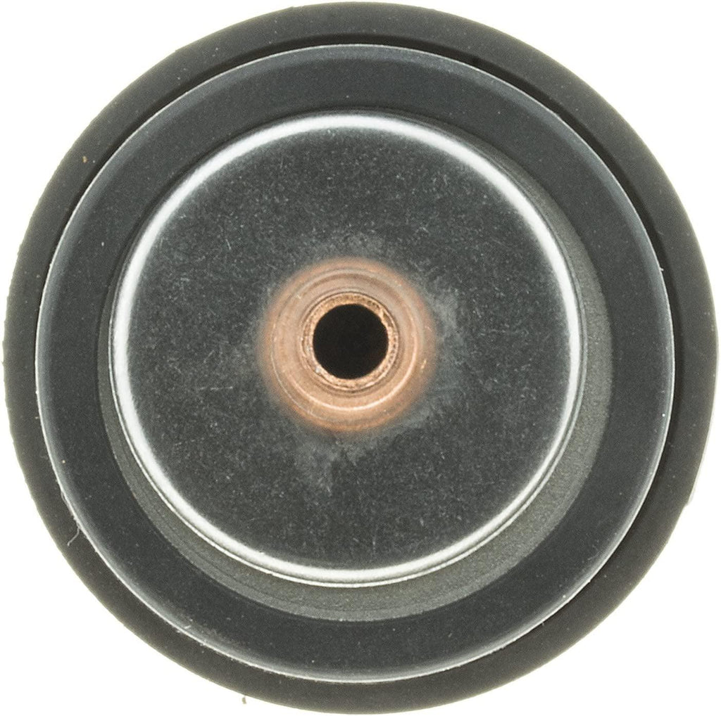 707-203 Thermostat
