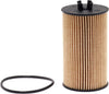 Tough Guard Replacement Oil Filter TG10246, Designed for Interval Full-Flow Changes Lasting up to 15K Miles