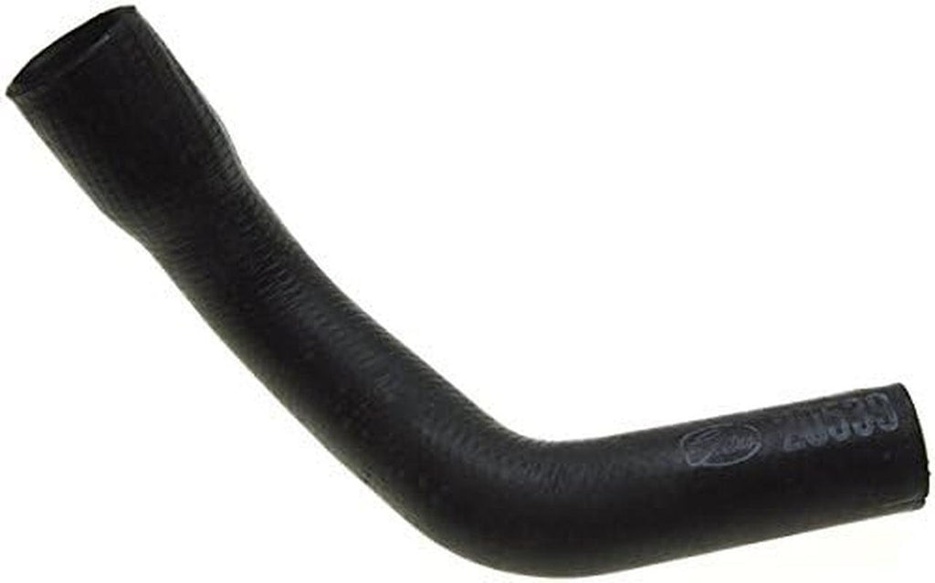 Gold 22031M Molded Lower Radiator Hose
