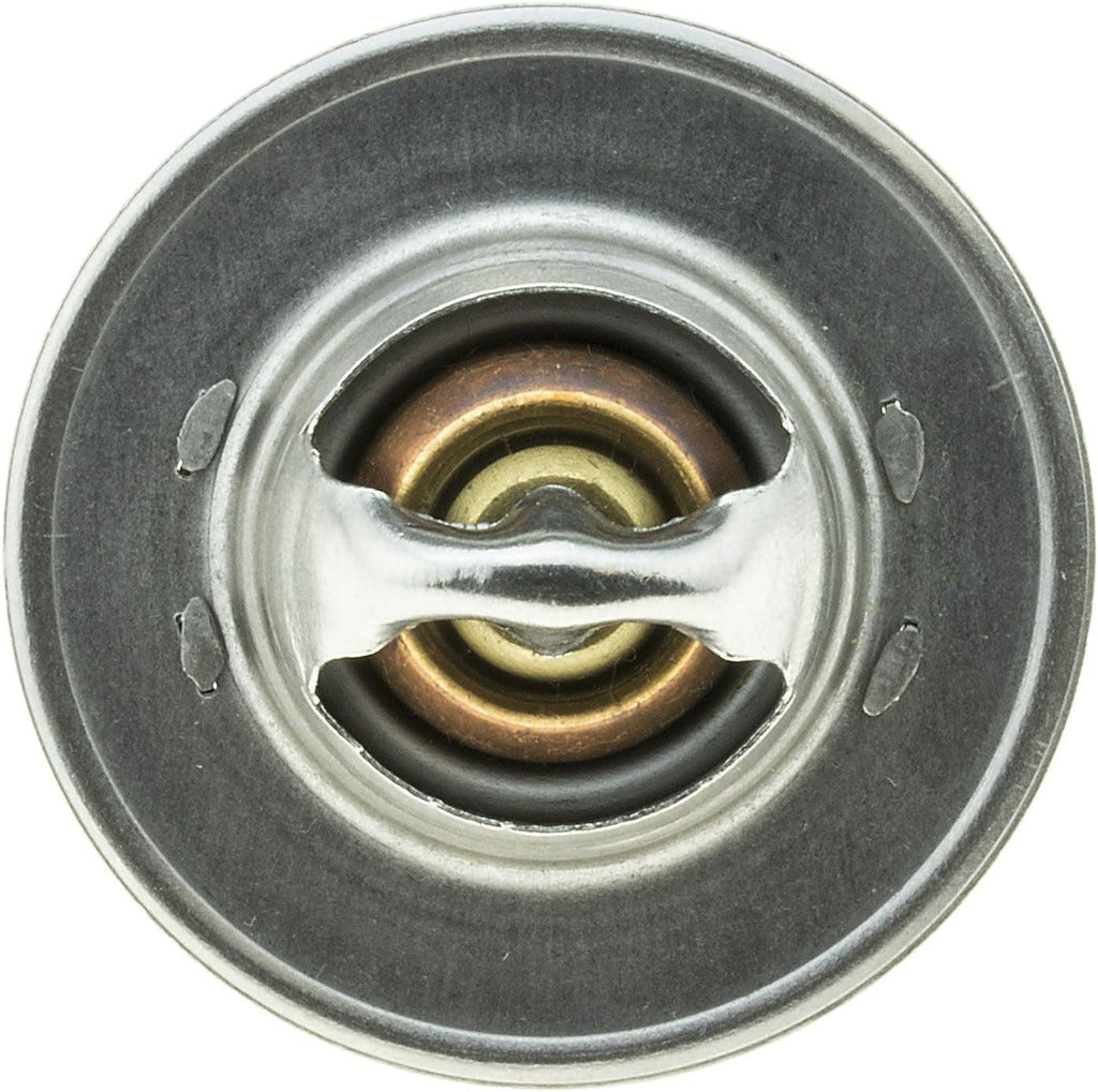 226-160 Thermostat