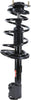 182766 Suspension Strut and Coil Spring Assembly
