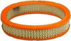 Extra Guard Oval Engine Air Filter Replacement, Easy Install W/ Advanced Engine Protection and Optimal Performance, CA3622