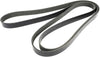 Belt-Serpentine 4627751Aa