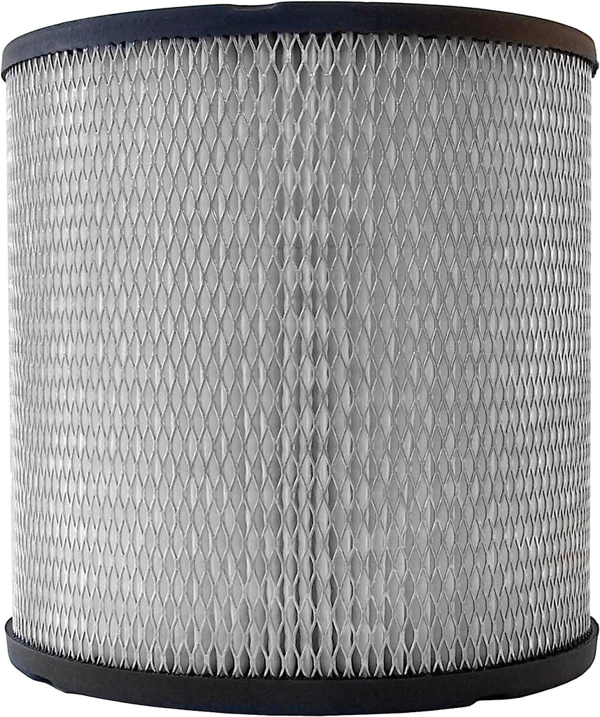 GM Original Equipment A925C Air Filter