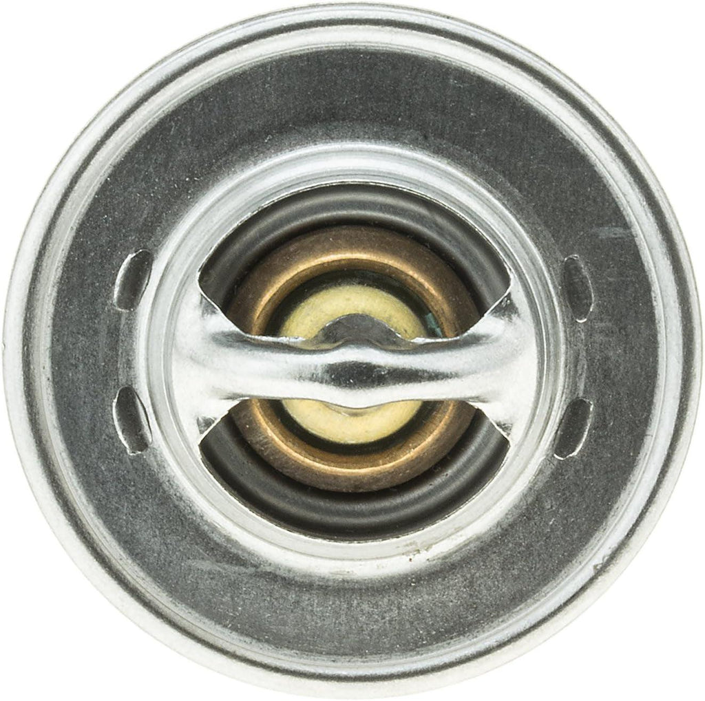 234-174 Thermostat