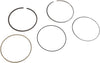 12616973 Engine Piston Ring Kit