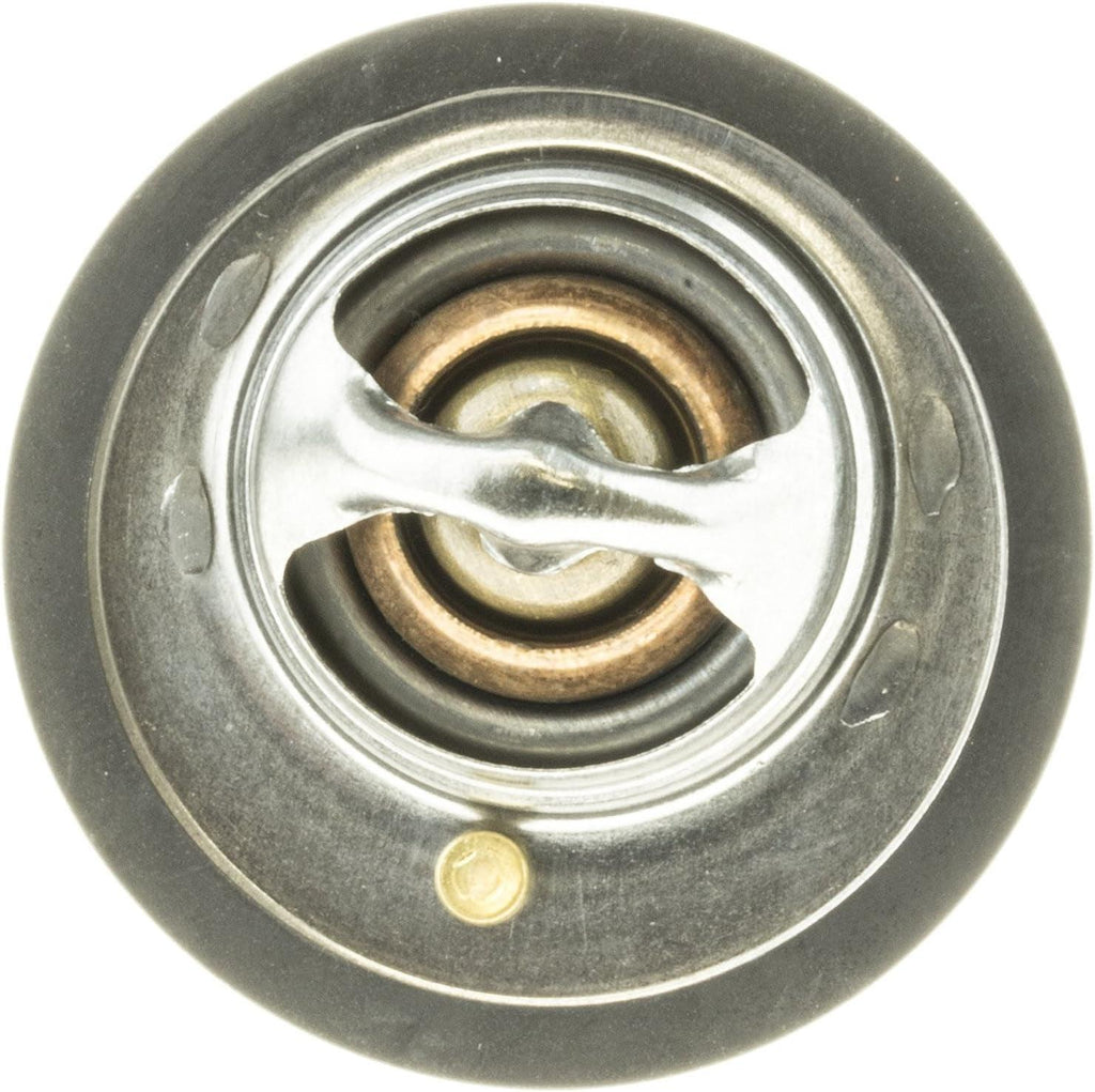 7441-170 170 °F Fail-Safe Thermostat