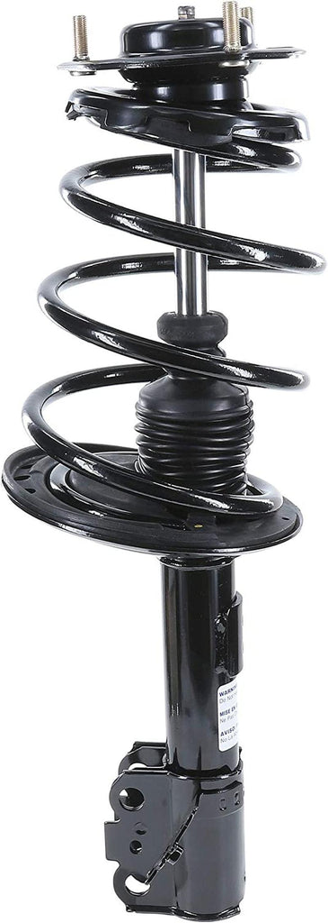 182940 Suspension Strut and Coil Spring Assembly