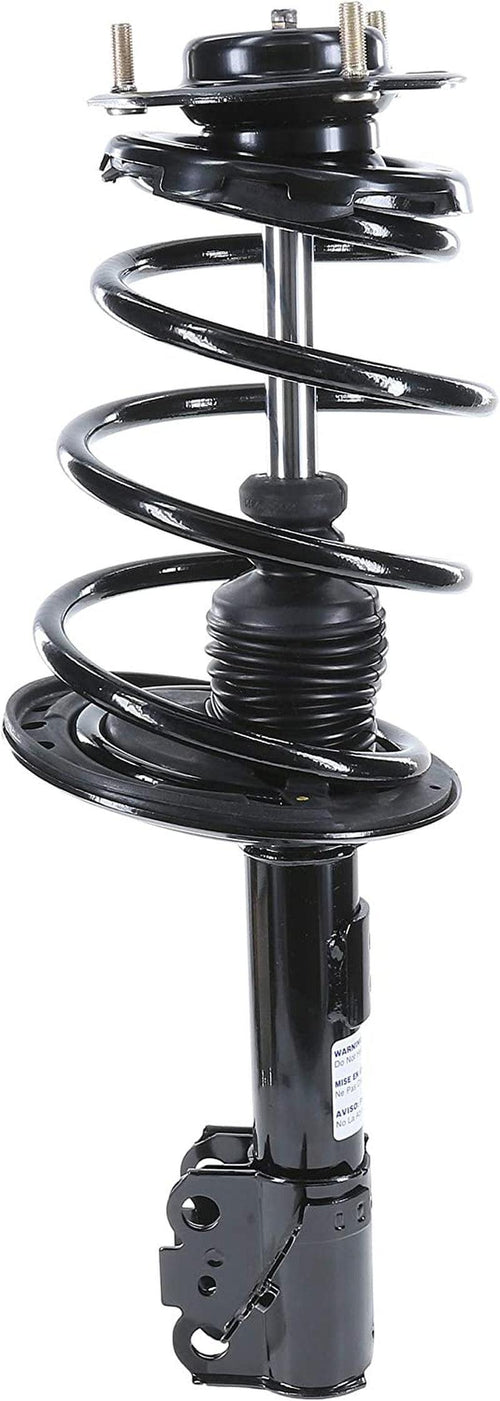 182940 Suspension Strut and Coil Spring Assembly
