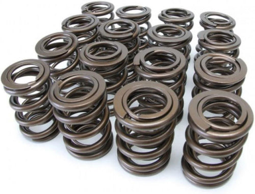 311-05-1350 Tuner Series Valve Spring Set