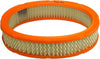 Extra Guard Oval Engine Air Filter Replacement, Easy Install W/ Advanced Engine Protection and Optimal Performance, CA3622