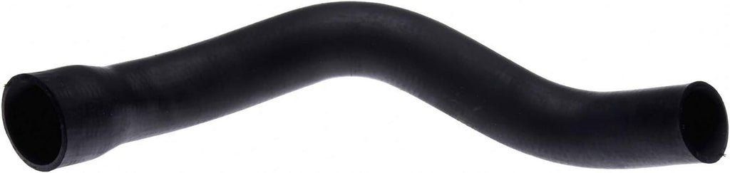 Gold 24310L Molded Radiator Hose