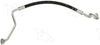 56838 Discharge Line Hose Assembly