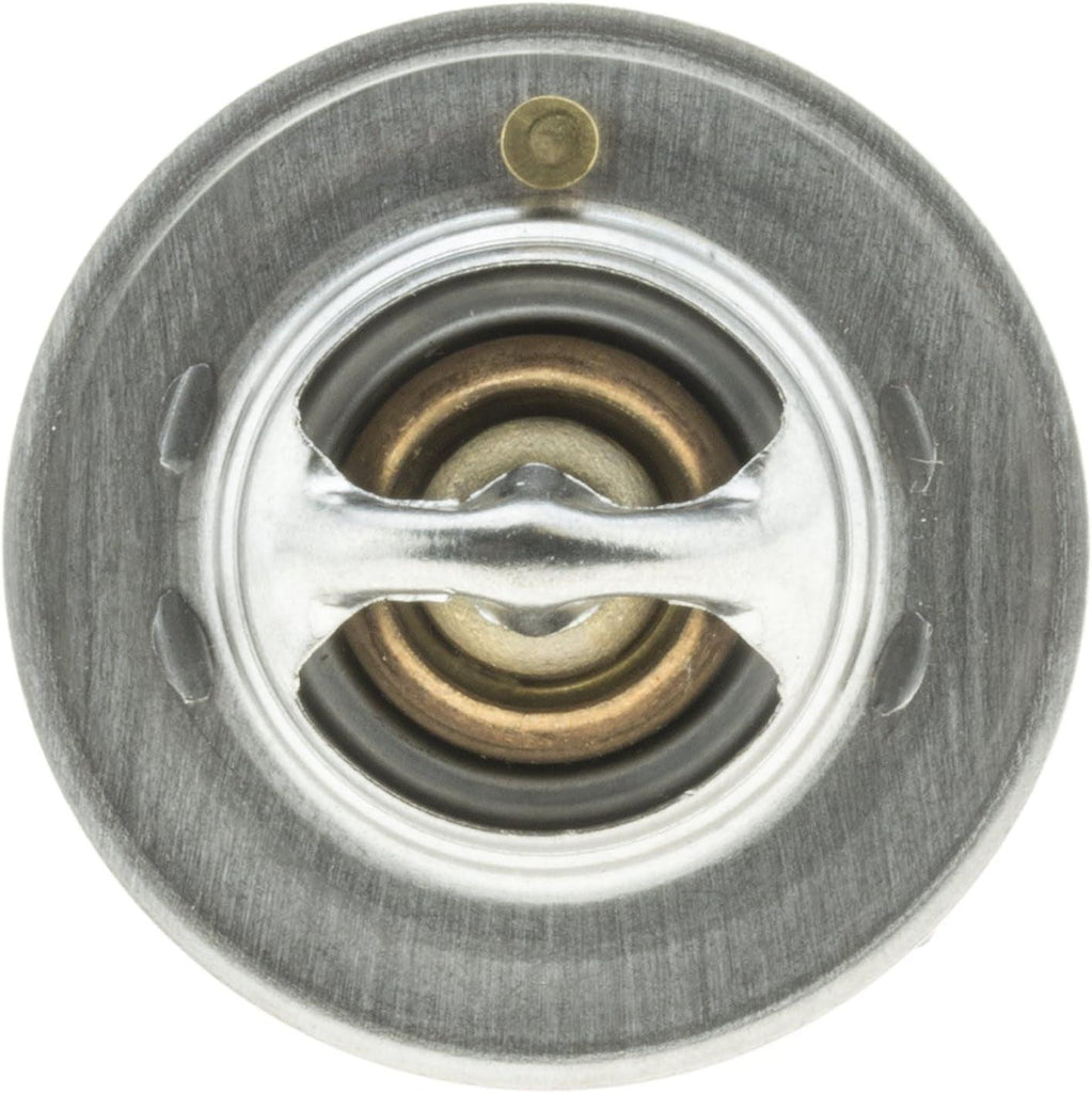 319-170 Thermostat