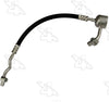 56785 Discharge Line Hose Assembly